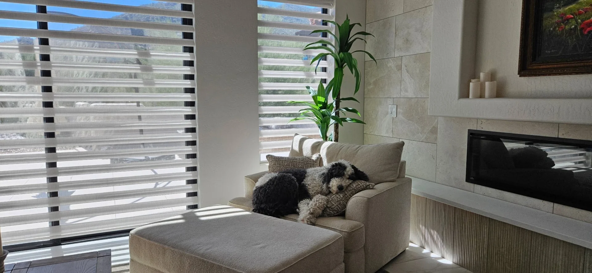 Sheer window shadings in a living room, installed by Window Coverings by Julie